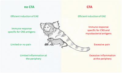 Complete Freund’s adjuvant as a confounding factor in multiple sclerosis research